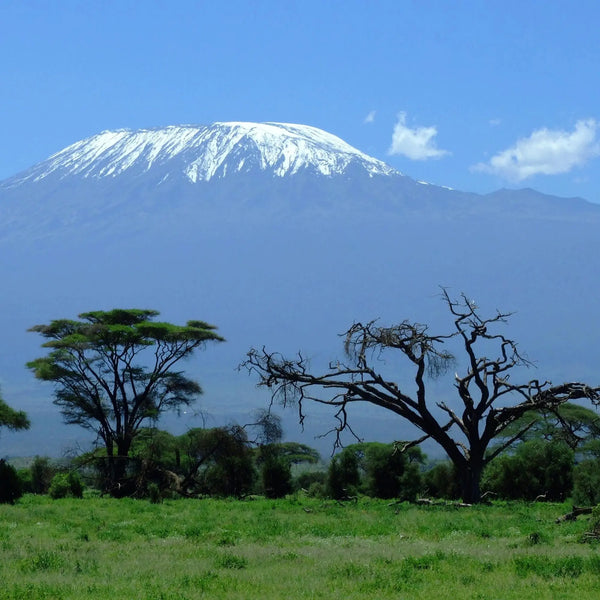 Kilimanjaro - Gear List
