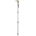 Wanderer Lock Pole