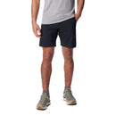 Men's Silver Ridge Utility Cargo Walking Shorts (10Inch)