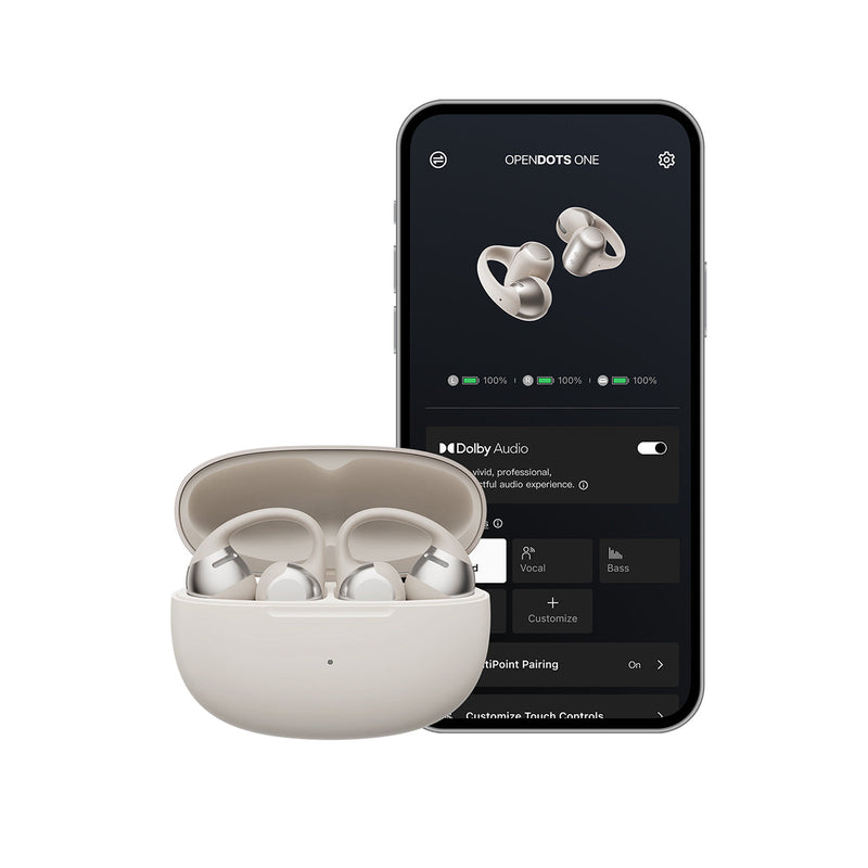 Shokz OpenDots ONE - Grey  