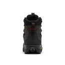 A rear view of the Columbia Mens GeoTerra OutDry Leather Hiking Boot, featuring waterproof leather, black, brown, and red accents, a thick Vibram sole tread, and a padded collar, shown against a white background.