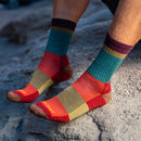 Darn Tough Heady Stripe Micro Crew Lightweight Hiking Sock  