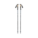 Trail Vista FLZ Trekking Poles