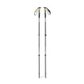 Trail Vista Shock Trekking Poles