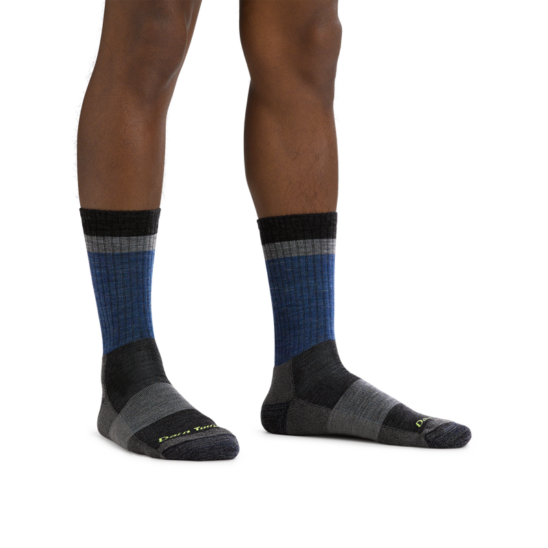 Darn Tough Heady Stripe Micro Crew Lightweight Hiking Sock  