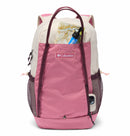 Echo Mountain 25L Backpack
