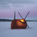 Ultralight Survival Shelter 2