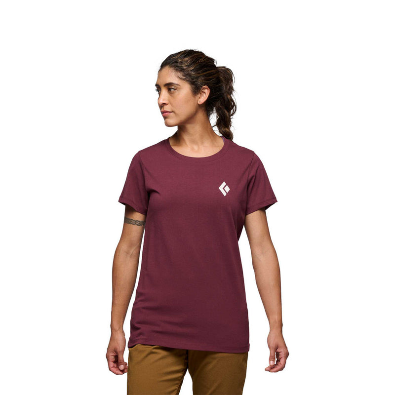 Equipment For Alpinists Tee - Burgundy