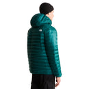 Men's Terra Peak Hoodie