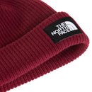 Salty Lined Beanie