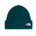 Salty Lined Beanie