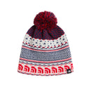 Ski Tuke Beanie