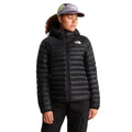 Women's Terra Peak Hooded Jacket