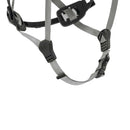 Petzl BOREO® Helmet  