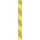 Beal Antidote 10.2mm X 60m Rope - Yellow- Great Outdoors Ireland