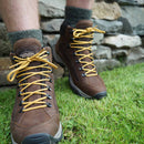 Meindl Baltimore GTX - Chestnut- Great Outdoors Ireland