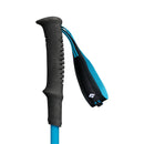 Black Diamond Distance Carbon FLZ Poles - Desert Sky  