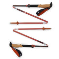 Pursuit FLZ Trekking Poles - Black/Octane