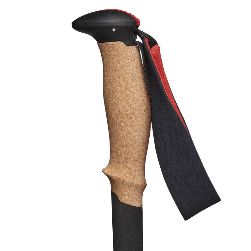 Black Diamond Pursuit Trekking Poles  