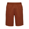 Sierra Shorts - Burnt Sienna