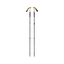 Black Diamond Trail Cork Trekking Poles  