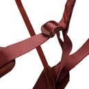 Black Diamond Women's Momentum Harness - Baja Sunrise  