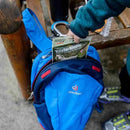 Adventure Medical Kits Blister Medic Kit- Great Outdoors Ireland