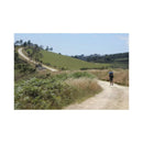 Camino Del Norte and Camino Primitivo