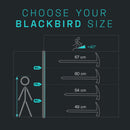 Blackbird Ice Axe size selection chart with height measurements on a dark background