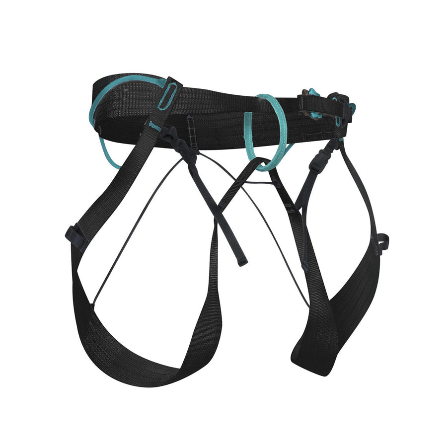 Black climbing harness with teal accents on a white background