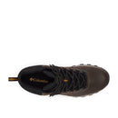 Columbia Men's Newton Ridge™ Plus II Waterproof Hiking Boots top view