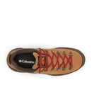 Men's Newton Alpine Low Waterproof Trail Shoe