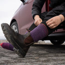 Darn Tough Hiker Micro Crew Midweight Hiking Sock - Plum  