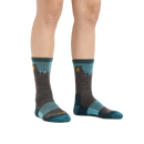 Darn Tough Bear Town Micro Crew Lightweight Hiking Sock  