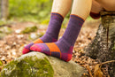 Darn Tough Hiker Boot Full Cushion Midweight - Plum  