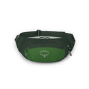 Osprey Daylite Waist Pack front view, Green Belt/Green Canopy