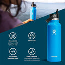 Hydro Flask 21 oz Standard Flex Straw Cap - Oregon  