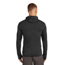 Icebreaker Men's Merino 200 ™ Descender Zip Hoodie back view