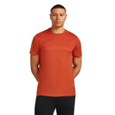 Icebreaker Men's Merino Tech Lite II Short Sleeve T-Shirt - Mountain Pulse  