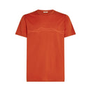 Icebreaker Men's Merino Tech Lite II Short Sleeve T-Shirt - Mountain Pulse  
