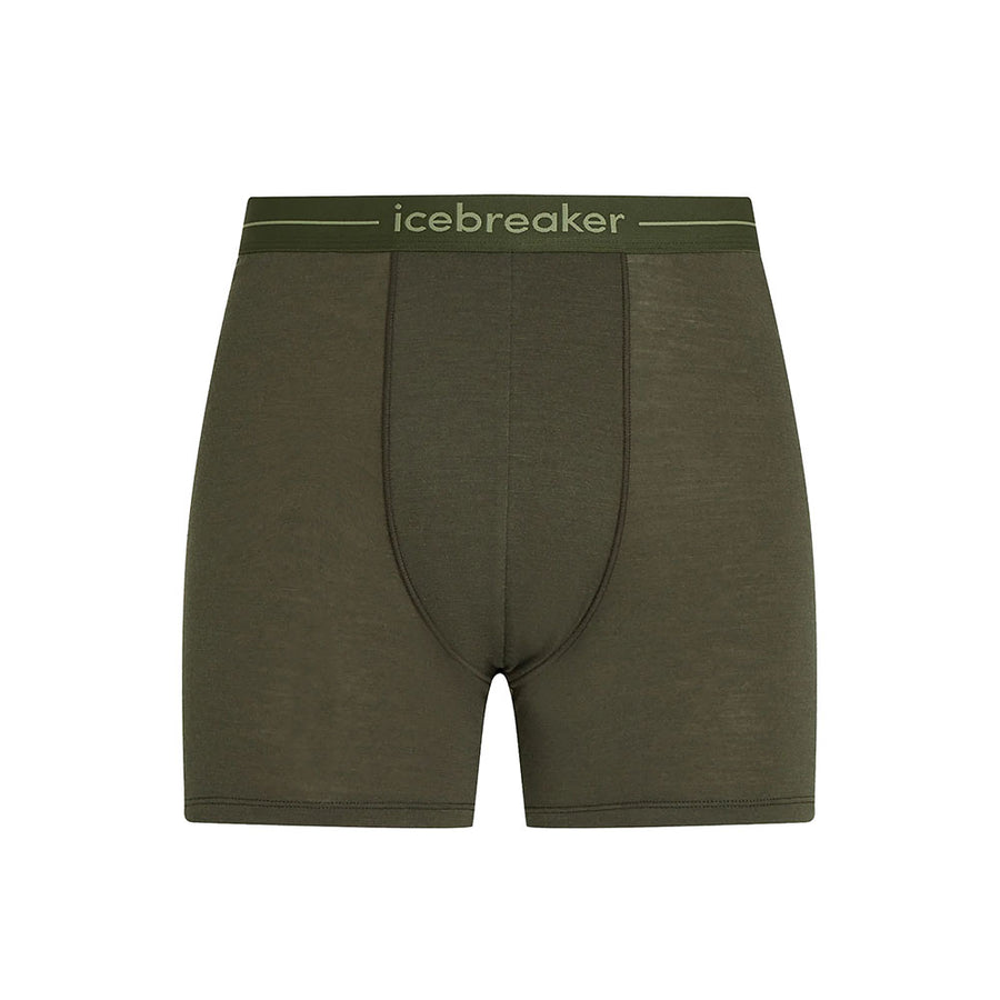 Icebreaker Men's Merino 150 Anatomica Boxers front flat lay, Dark Loden