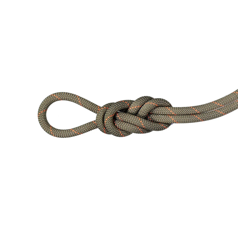 Mammut 9.9 Gym Workhorse Classic Rope - Boa