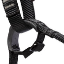 Mammut Ophir 4 Slide Harness - Black/Orange  