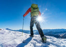 Nortec Nortec Alp 2.0 Micro Crampon - Large  