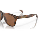 Frogskins - Prizm Tungsten/Matte Tortoise