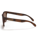 Frogskins - Prizm Tungsten/Matte Tortoise