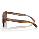 Frogskins - Prizm Tungsten/Matte Tortoise