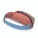 Osprey Daylite™ Waist Pack  