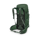 Osprey Talon 33 Backpack back view, Green Canopy/Pine Leaf