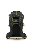 Osprey Talon Velocity 30 Backpack back view, Dark Charcoal/Tumbleweed
